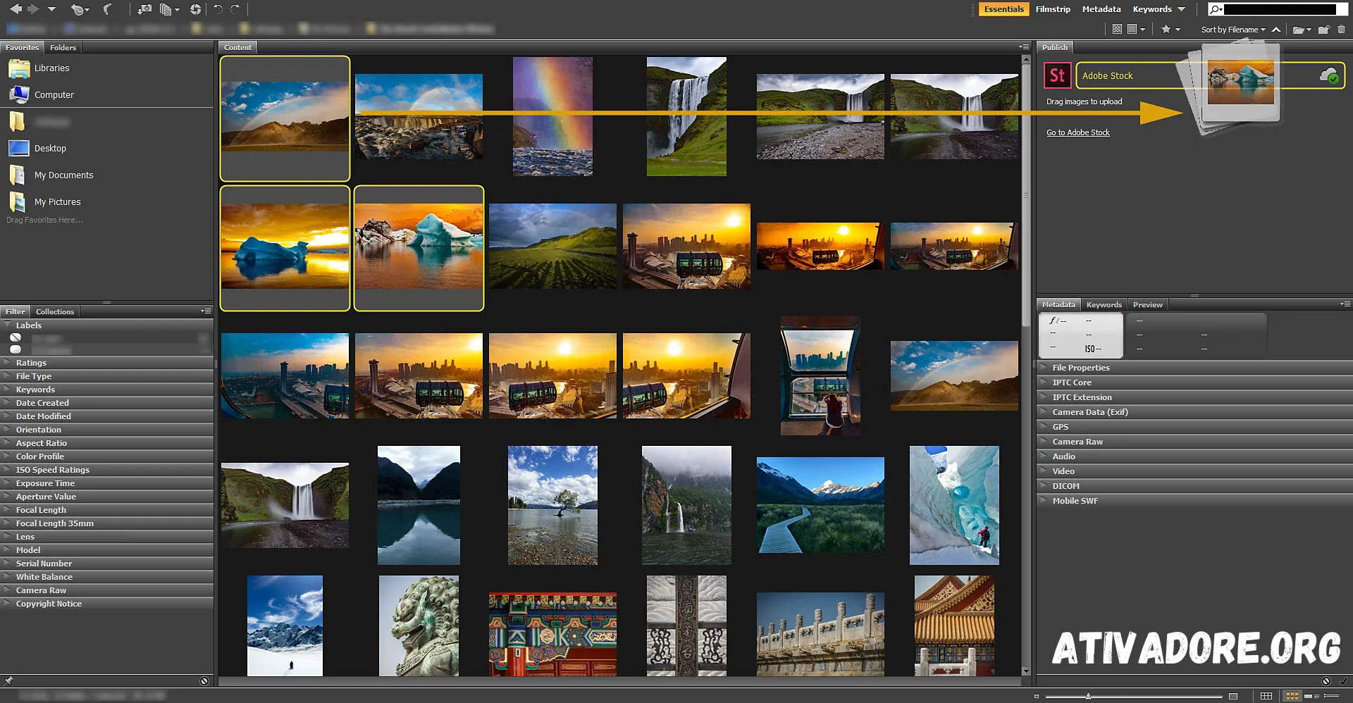 Adobe Bridge Download